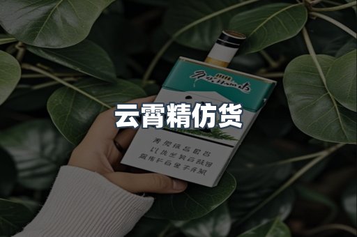 云霄精仿货
